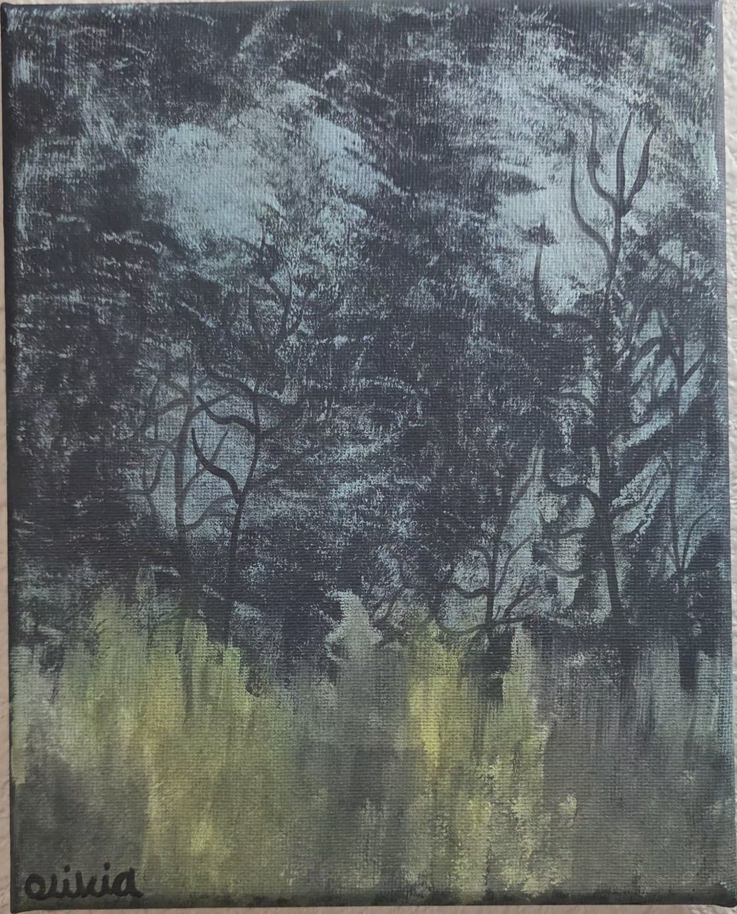 Night Time Forest