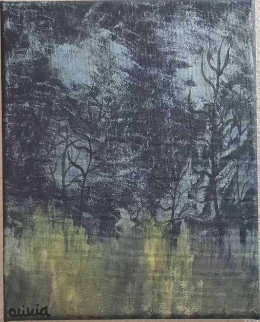 Night Time Forest