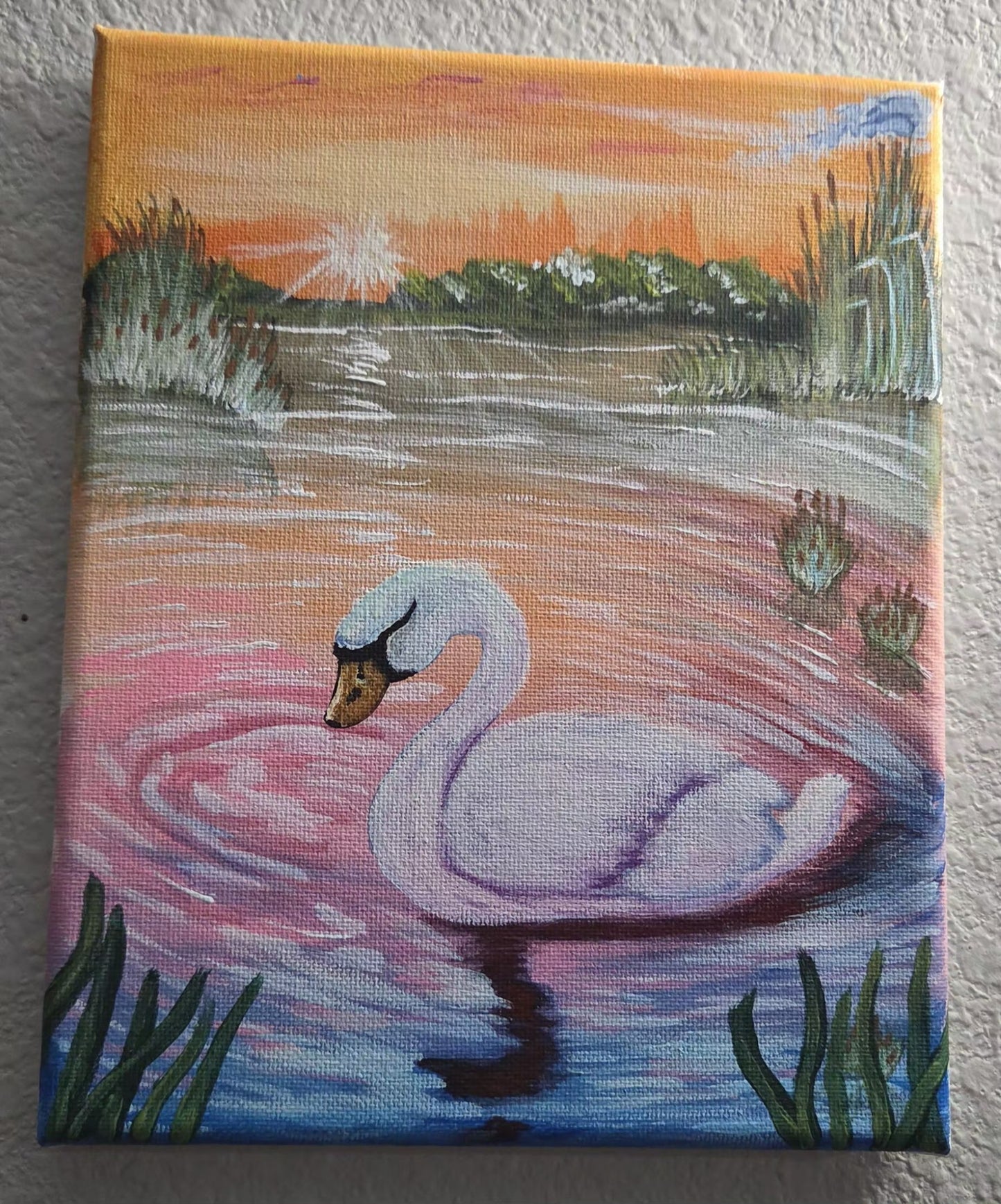 Sunset Swan